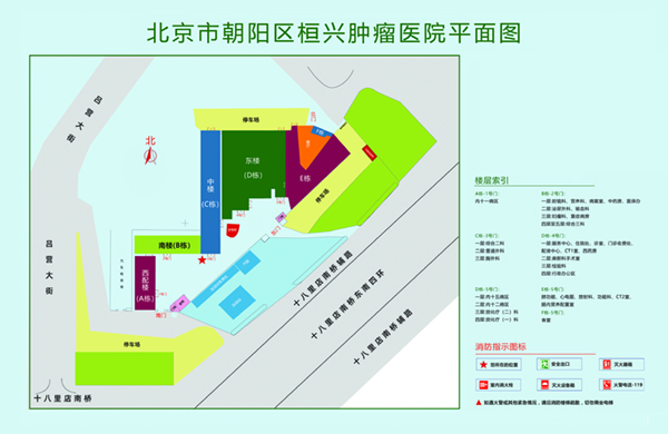 日本胖女人逼北京市朝阳区桓兴肿瘤医院平面图